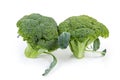 Two heads of broccoli on a white background