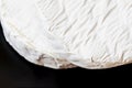 Two heads of camembert or brie cheese on dark background, selectov focus. Top view. For background, with copy space Royalty Free Stock Photo