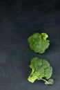 Two heads of healthy salad. fresh, raw green broccoli. the view from the top green vegetable flower. healthy diet. copy space. Royalty Free Stock Photo