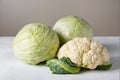 Two heads of white cabbage and a head of cauliflower Royalty Free Stock Photo