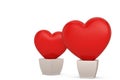 Two heart pots Isolated on white background. 3d illustration Royalty Free Stock Photo