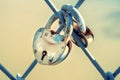 Two heart-shaped padlocks hanging on iron bars Royalty Free Stock Photo