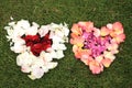 Two heart shapes from rose petals against grass background. Royalty Free Stock Photo
