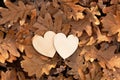 two hearts against the background of fallen dry oak leaves, leaf fall background, autumn mood Royalty Free Stock Photo