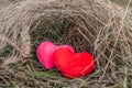 Two hearts hugging in the February grass Royalty Free Stock Photo