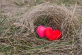 Two hearts hugging in the February grass Royalty Free Stock Photo