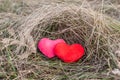 Two hearts hugging in the February grass Royalty Free Stock Photo