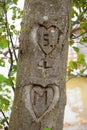 Two hearts with initials, carved in a tree bark Royalty Free Stock Photo