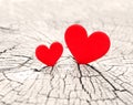 Two hearts Royalty Free Stock Photo