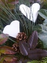 two hearts in various green plants