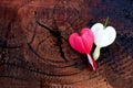 Two hearts on a wooden background