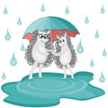 Two hedgehogs in love walk through puddles in the rain, hiding from the drops under a colored umbrella