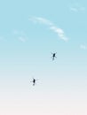 Two helicopters flying in a clear blue sky Royalty Free Stock Photo