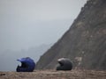 Two helmets placed amidst the view of the hills, Kerala, India Royalty Free Stock Photo