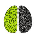 Two hemispheres of the brain of a person with the opposite mental state. the concept of chaos disease and a healthy order in