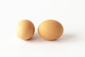 Two hen's eggs isolated on white