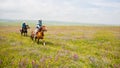 Two herdsmen ride horses on meadows. Royalty Free Stock Photo