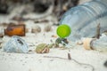 Two hermit crabs surviving at the polluted dirty beach among plastic bottles and garbage at the tropical island