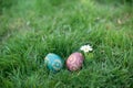 Two Hidden in the grass Easter eggs, which are painted in different colors Royalty Free Stock Photo