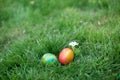 Two Hidden in the grass Easter eggs, which are painted in different colors Royalty Free Stock Photo