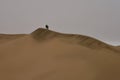 Two hikers cresting a dune in the Namib Desert Royalty Free Stock Photo