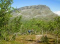 Two hikers going to the Saana fells Royalty Free Stock Photo