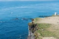 Two hikers are looking/photographing puffins on the steep bird cliffs in the westfjords of iceland. Royalty Free Stock Photo