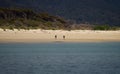 Two hikers walking along tropical pacific ocean beach surrounded by green nature, Abel Tasman National Park New Zealand Royalty Free Stock Photo