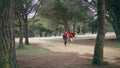 Two hikers walking forest path looking woodland nature. Couple strolling on park Royalty Free Stock Photo