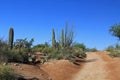 Two Hiking Trails in Bear Canyon, Tucson, AZ Royalty Free Stock Photo