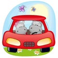 Two Hippos in a car Royalty Free Stock Photo