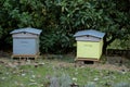 Two hives Royalty Free Stock Photo