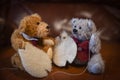 Two miniature home made teddy bears sewing the pattern pieces of another teddy bear Royalty Free Stock Photo