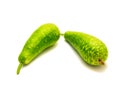 Two homegrown young long mottled bottle gourds isolated on white Royalty Free Stock Photo