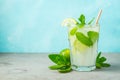 Two homemade lemonade or mojito cocktail with lime, mint and ice cubes in a glass on a light stone table. Fresh summer Royalty Free Stock Photo