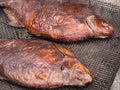 Two homemade smoked bream on a metal mesh Royalty Free Stock Photo