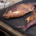 Two homemade smoked bream on a metal mesh Royalty Free Stock Photo