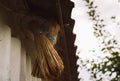 Two homemade straw brushes hang crosswise under slate roof