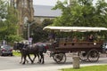 Two horse carriage with tourists in Charlottetown in Canada