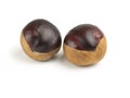 Two horse chestnuts isolated on white Royalty Free Stock Photo