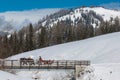 Two Horse-drawn Red Carriage on the Bridge and Elderly Coachman Royalty Free Stock Photo