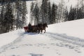 Two Horse-drawn Red Carriage and Elderly Coachman Royalty Free Stock Photo