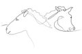 Two horse muzzles, line drawing