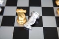 The two horse pieces on the chess board are in a duel Royalty Free Stock Photo