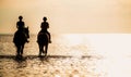 Two horse riders in the ocean at the sunset. Equestrian theme Royalty Free Stock Photo