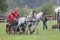 Two horses carriage Royalty Free Stock Photo