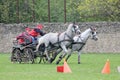 Two horses carriage Royalty Free Stock Photo