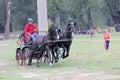 Two horses carriage