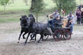 Two horses carriage