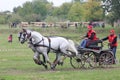 Two horses carriage Royalty Free Stock Photo